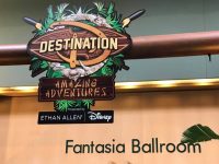 Destination D: Amazing Adventures